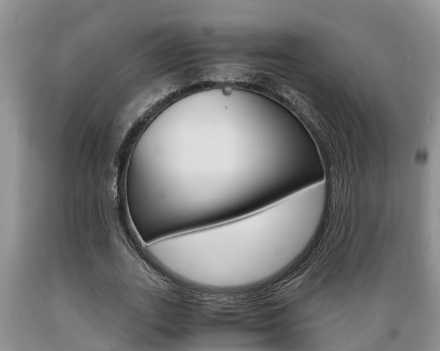 X0000089730727200706210915