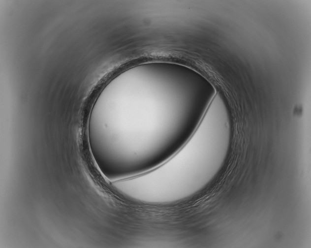 X0000089730728200706210915
