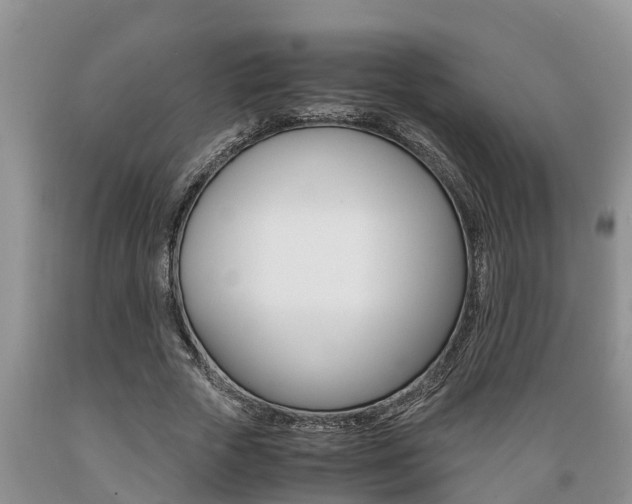 X0000089730729200706210915