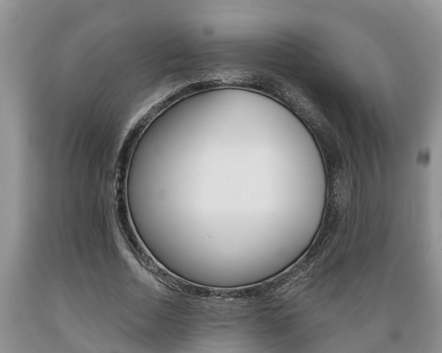 X0000089730730200706210915