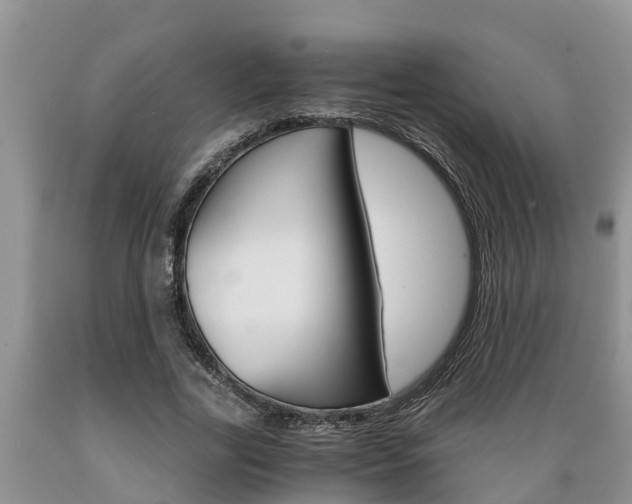 X0000089730731200706210915