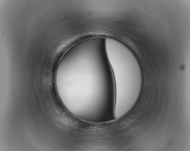 X0000089730732200706210915