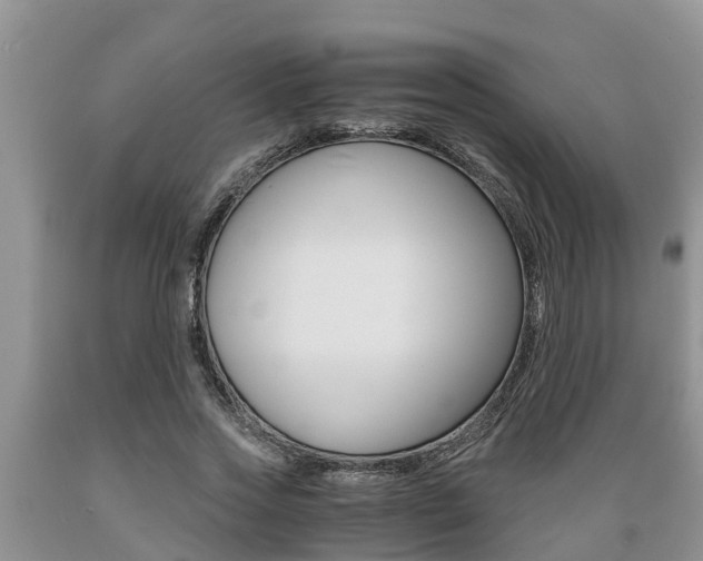 X0000089730733200706210915