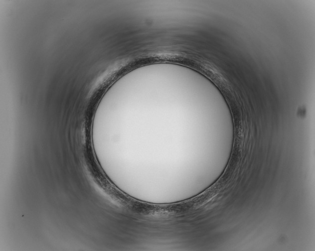 X0000089730734200706210916