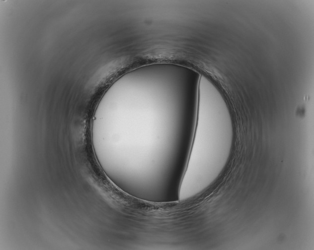 X0000089730735200706210916