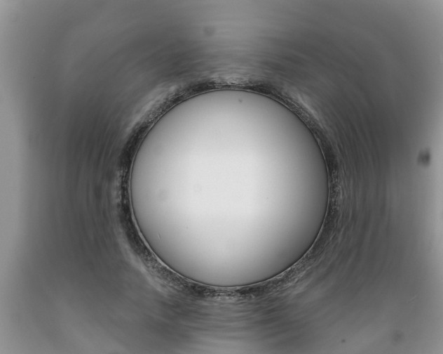 X0000089730738200706210916