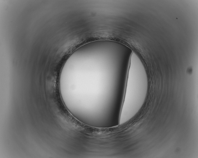 X0000089730739200706210916