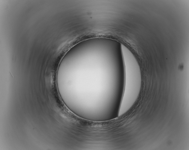 X0000089730740200706210916