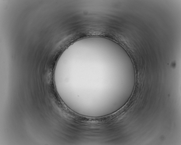 X0000089730741200706210916