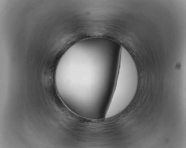X0000089730743200706210916