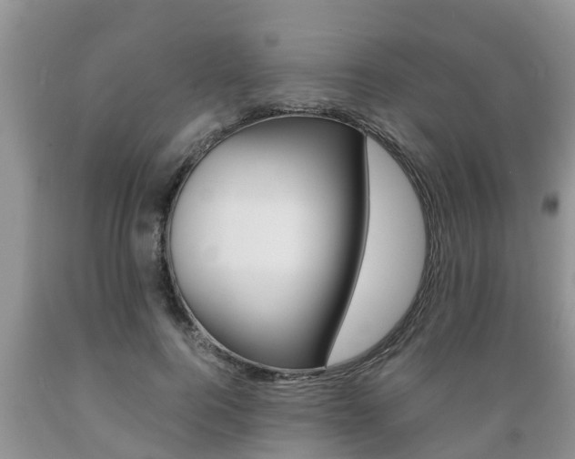 X0000089730744200706210916