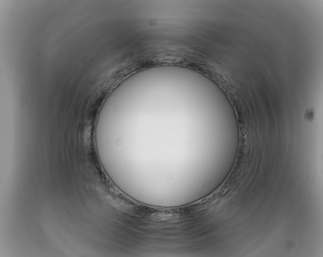 X0000089730745200706210916
