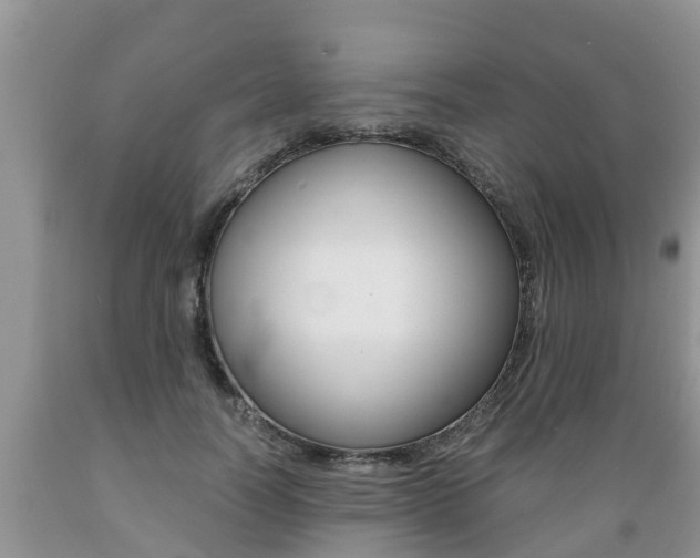 X0000089730746200706210916