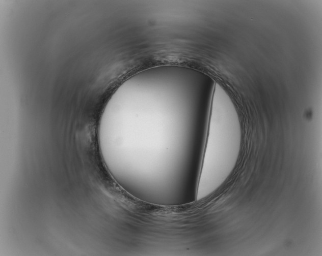X0000089730747200706210916