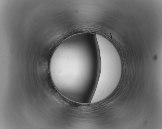 X0000089730748200706210916