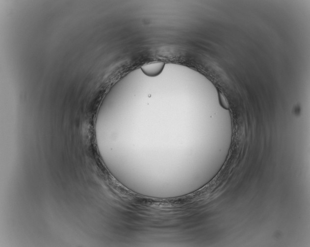 X0000089730749200706210916