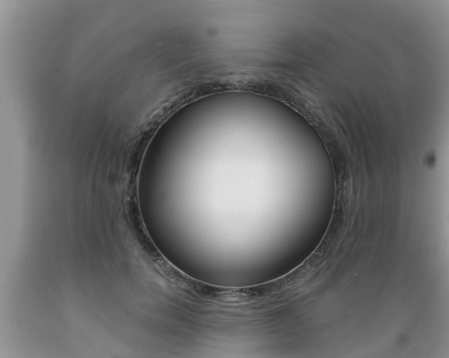 X0000089730750200706210916