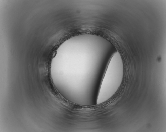 X0000089730751200706210916