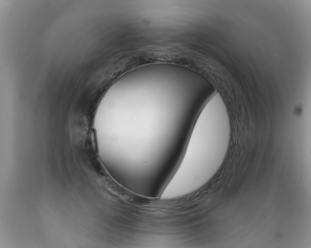 X0000089730752200706210916
