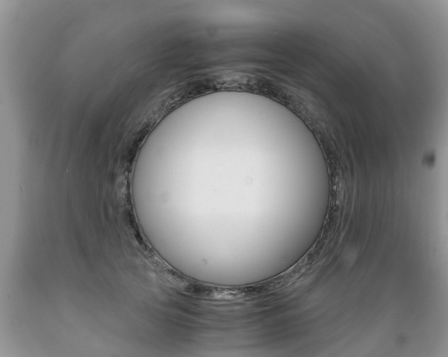 X0000089730753200706210916