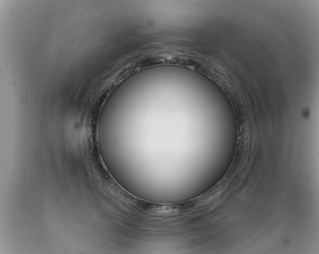 X0000089730754200706210916