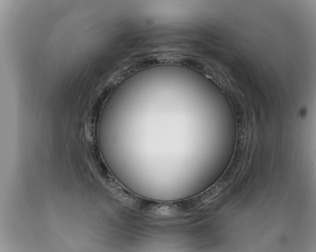 X0000089730755200706210916