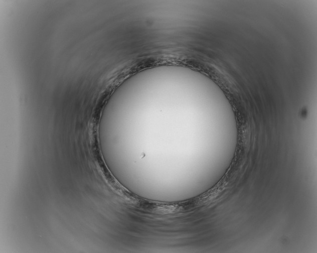 X0000089730757200706210916