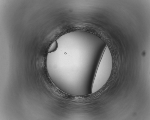 X0000089730758200706210916