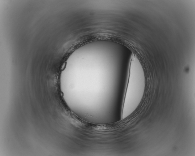 X0000089730759200706210916