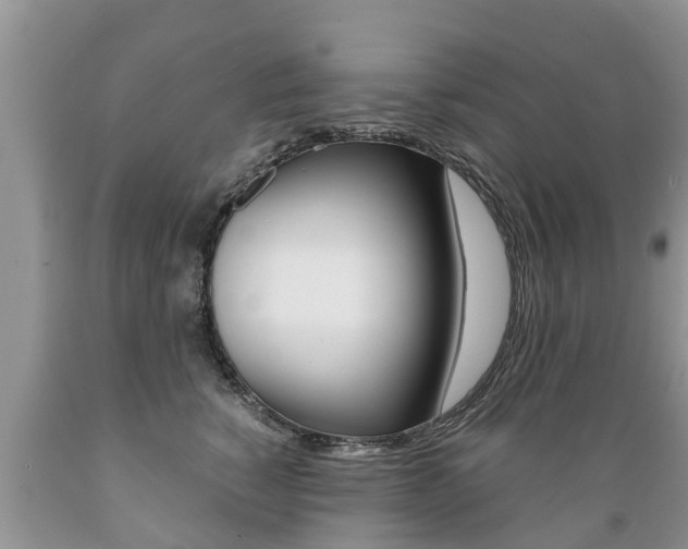 X0000089730760200706210916