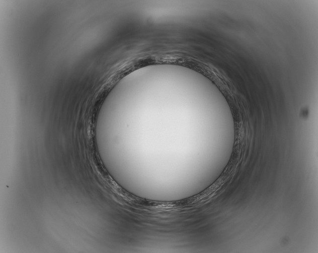 X0000089730761200706210916