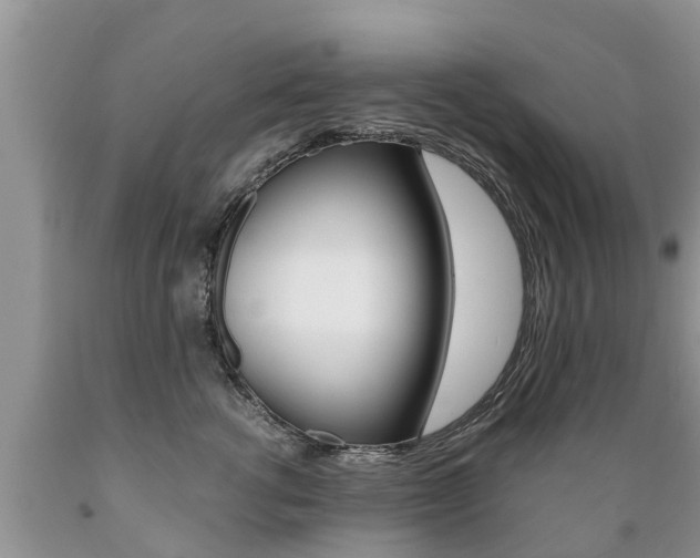 X0000089730762200706210916