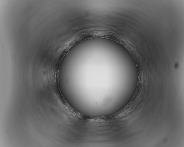 X0000089730763200706210916