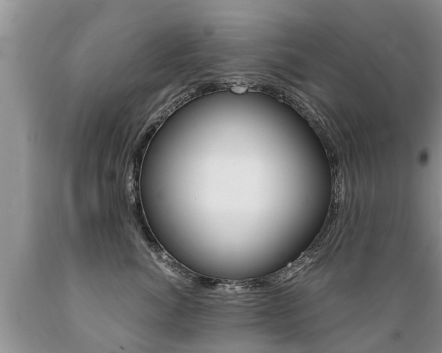 X0000089730764200706210916