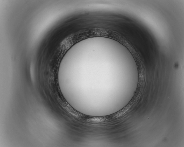 X0000089730765200706210916