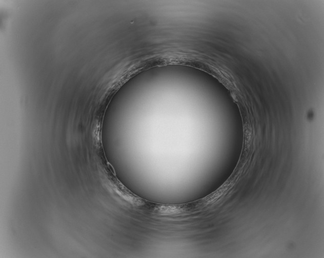 X0000089730766200706210916