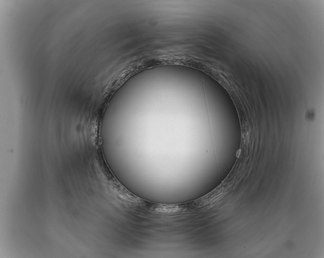 X0000089730767200706210916