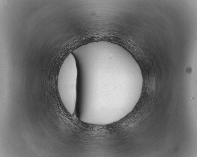 X0000089730770200706210915