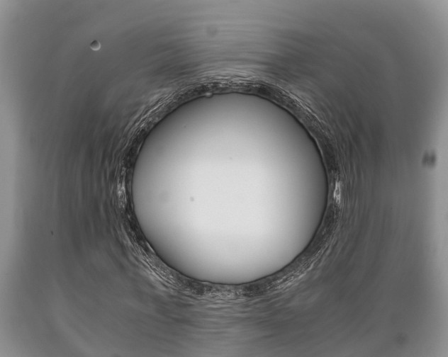 X0000089730771200706210915