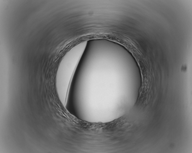 X0000089730773200706210915