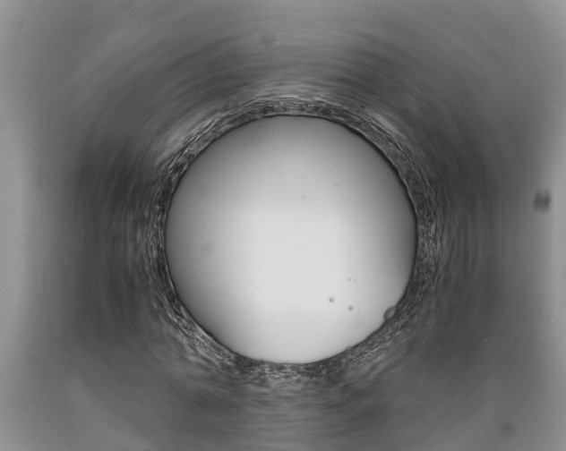 X0000089730774200706210915