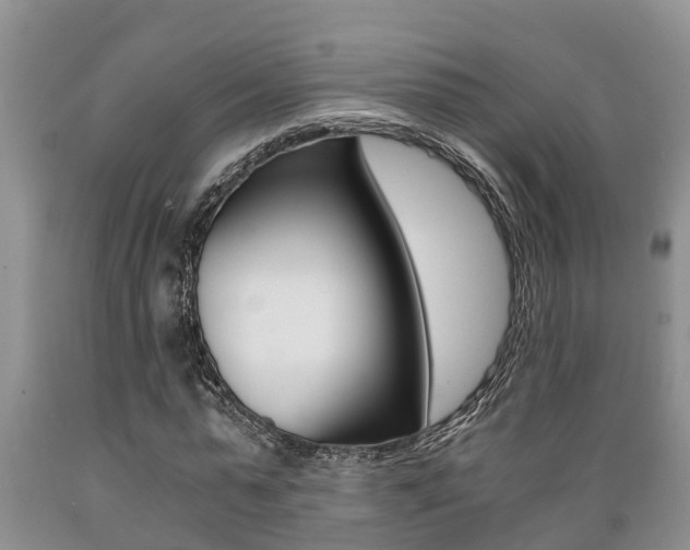X0000089730775200706210915