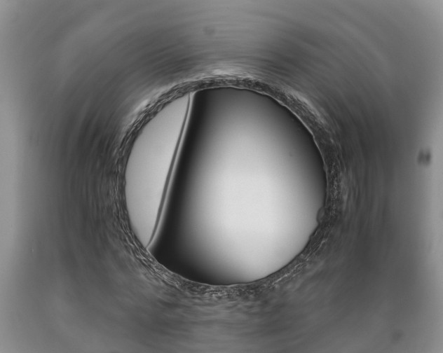 X0000089730776200706210915
