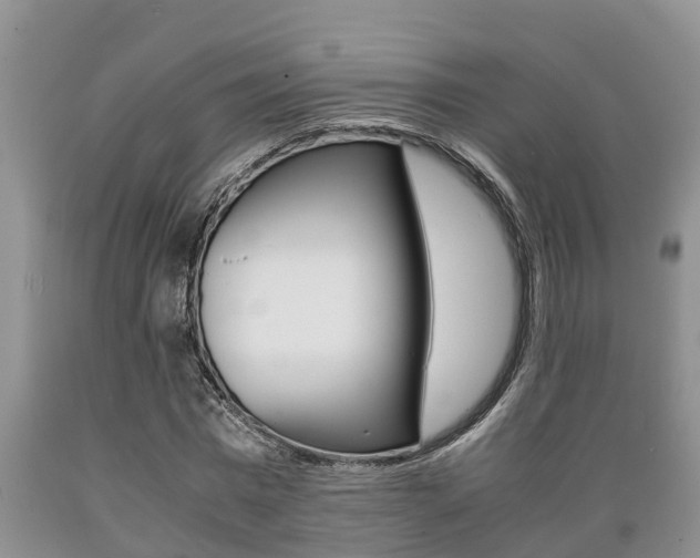 X0000089730777200706210915