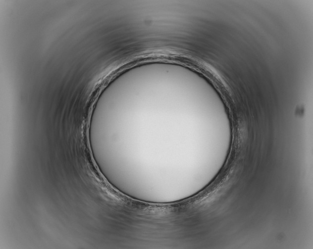 X0000089730778200706210915