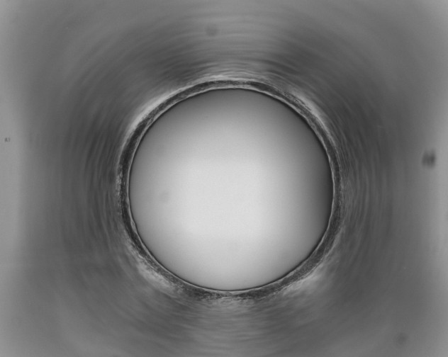 X0000089730779200706210915