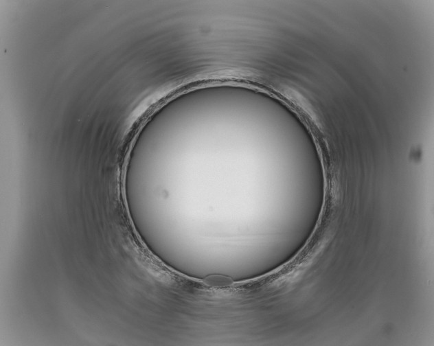 X0000089730781200706210915