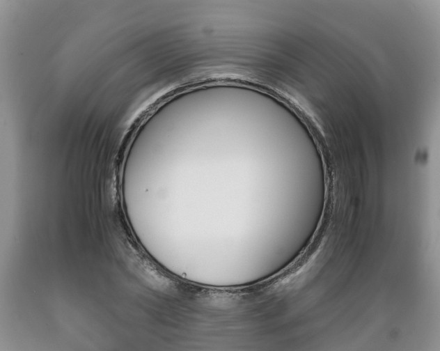 X0000089730782200706210915