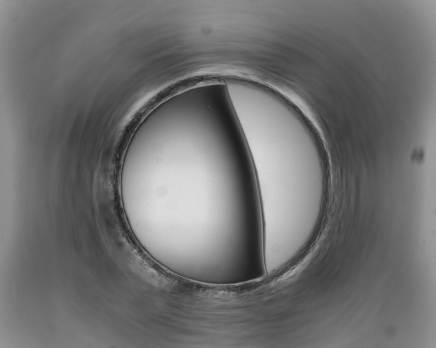 X0000089730783200706210915