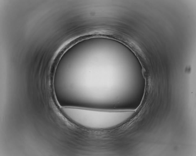 X0000089730784200706210915